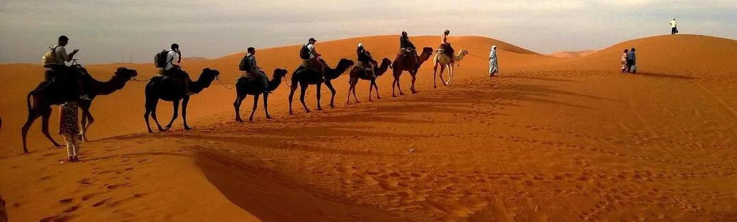 camel desert safari dubai